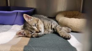 3178959_1422839745.767